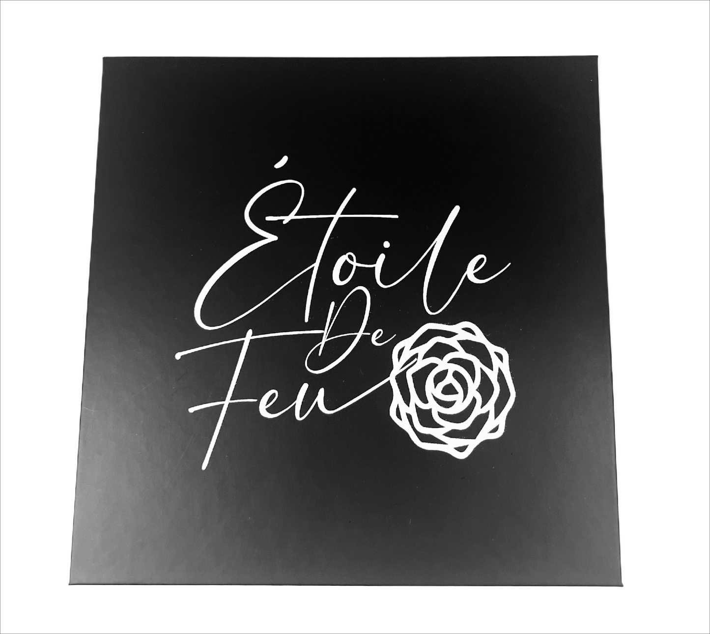 Celine: 3D Magnetic Premium Silk Lashes, Magnetic Eyeliner, & Tweezers Ultimate Kit